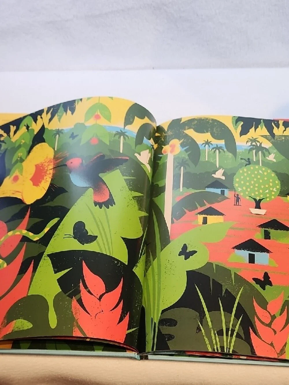The Mango Tree Childrens Book By Edel Rodriguez Print